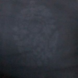 Meet your Posher, Jasmin